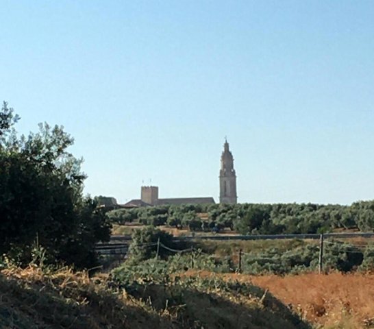 Paisaje dsd Ctra Morente